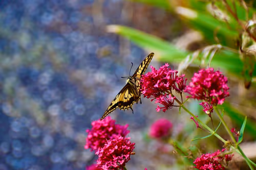 Item #90242850713282573943473333333408540290237184150123135597774242561674782441473 Media