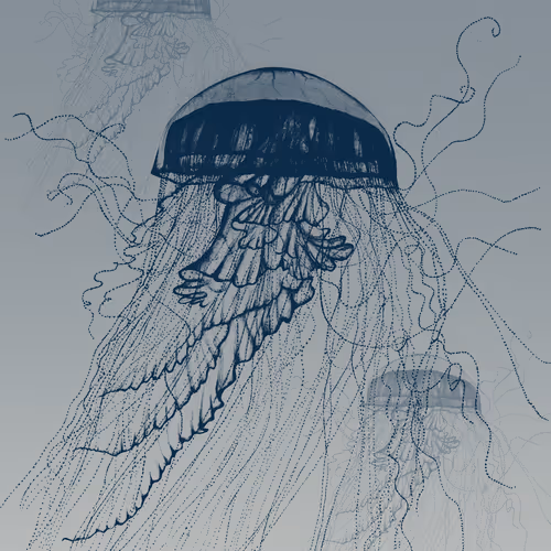 113233535435930126246803406212525192330824104616936385021501681236396897992705