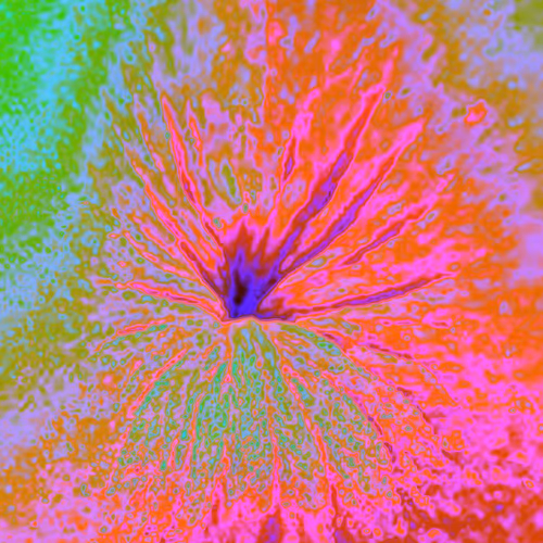 Item #38748192286267356930689689992324455160612969586483070519053316850061519355905 Media