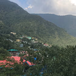 Dharamshala bliss