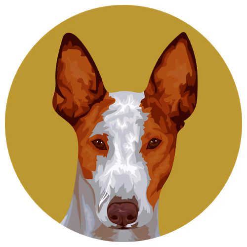 54766349128176429303044182404049584425310907481653304317570414030987890524161