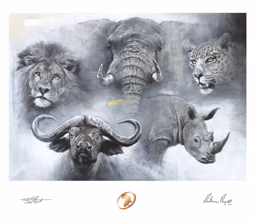 Item #98659679485147310438631373548143001120152503424997926615004853643199817711617 Media