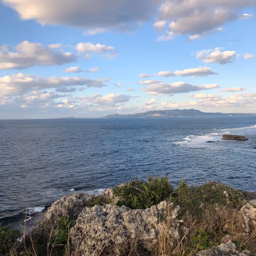 Untitled Collection #19109357