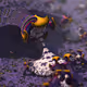 6619952703533832349738254461928617959346284272951393957588067437997161709569