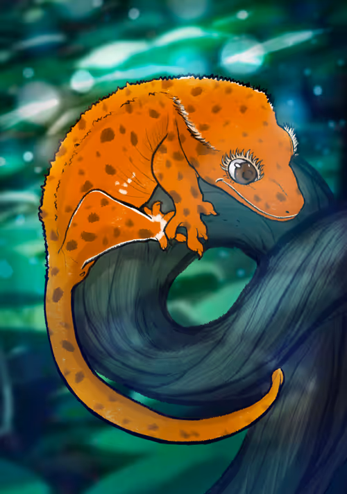 Item #23546686719633506406095790157609111049750244779414073605876924919786577592321 Media