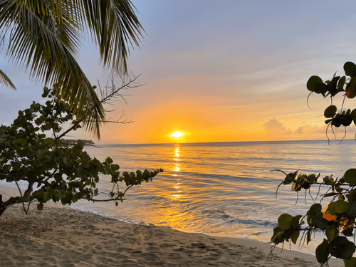 Dominican Golden Hours