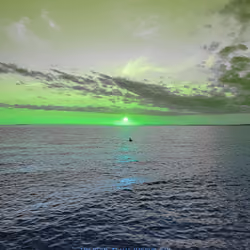 "Pandan", Trichome at Oak Harbor, 2021 V2