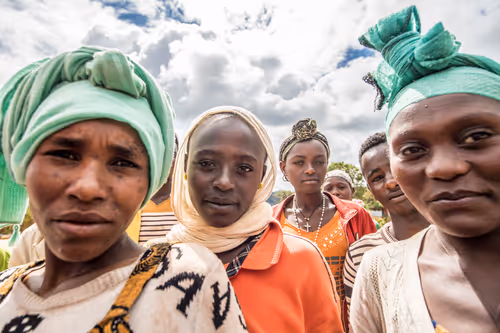 Item #50027882237522295676960542276708360859068113986169674979910833995465655058433 Media