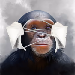 Just One Wise Monkey - Ears