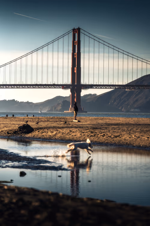 Item #91125051204916802134663143874818623543261555001091598353239149891240232747009 Media