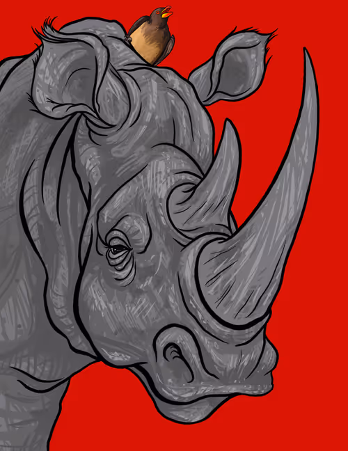 Item #60342236005163987948556802886235213316063293567500632170058184716947992608769 Media