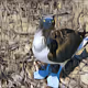 82116030811947547433152525321307853265006368196477325022891472091761073979393