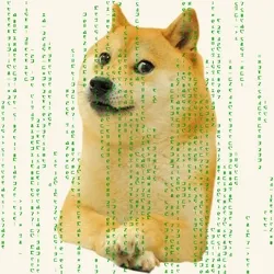 Crypto Dog Dogecoin Matrix