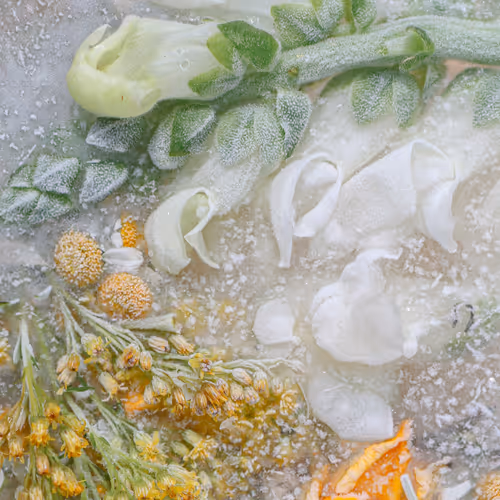 Item #80829721372825377784010953381890255518558028243098186913878117621211548614657 Media