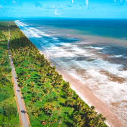 #17 Cocos Bay