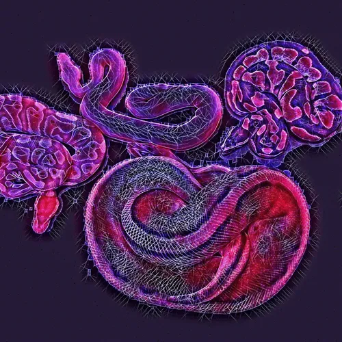 24515379016287833430110687259411372809394655166763807580583558388457261760513