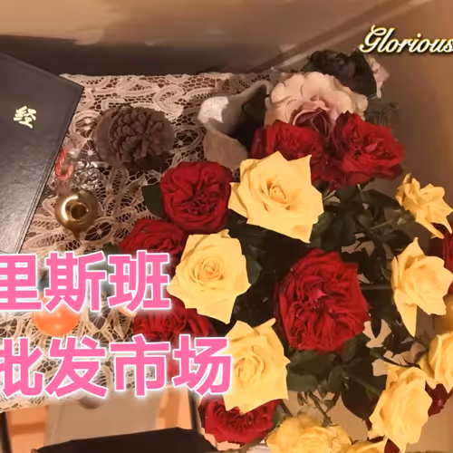 35812598071007472883499807104650621409996597292044812776198771478708025819137