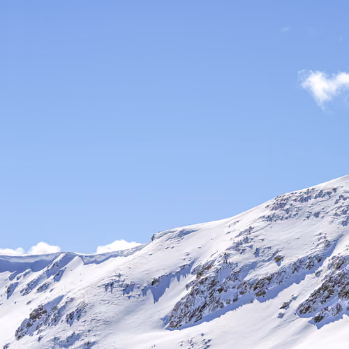 Blue Bird Rockies 