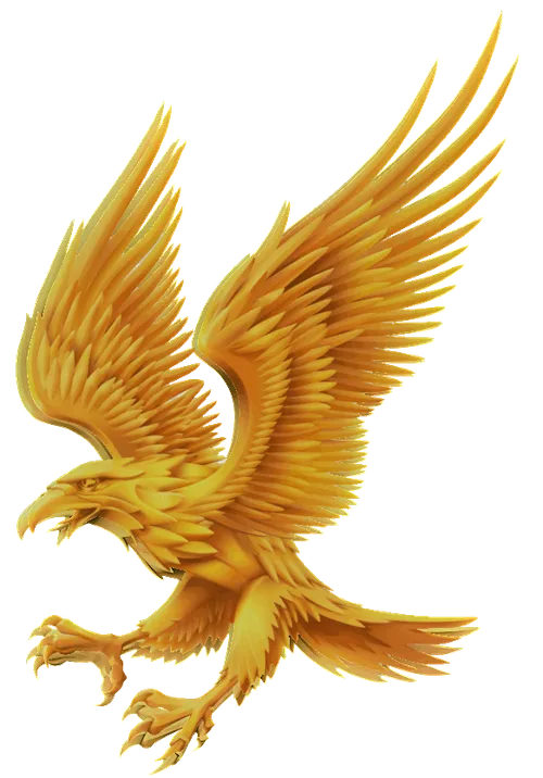 Item #14841988310440250522005790873620147993191226798072072988279030974476695109633 Media