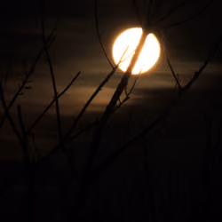 Moon