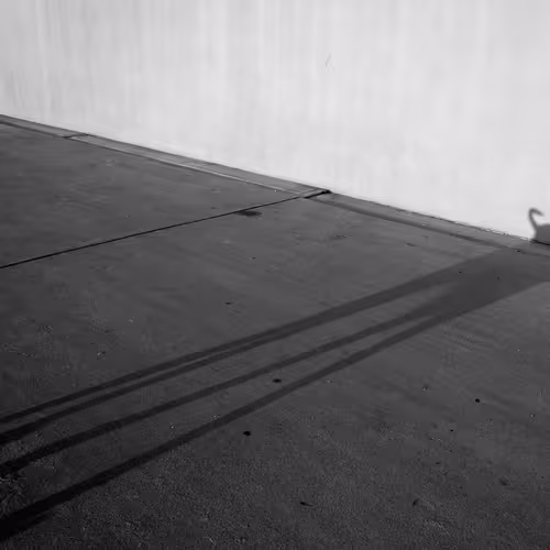 Item #56431751608181922231259635946092067407977788553703326303680802287660990201857 Media