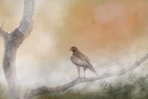 Item #20879904977050231781978559907445915739532146362246903749837269852335728754689 Media