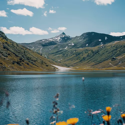 Moments In Nature By Alex Trajilovic