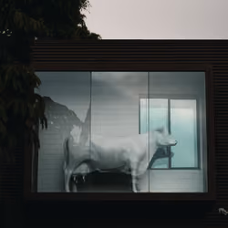 Vegan Cow