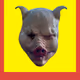 43611548141407519879911017181650845324484260882909911939077050451996658630657