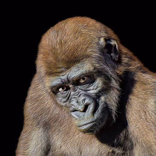 Item #13895770362792469734688406540771864633906230487145014712104887613157862801409 Media