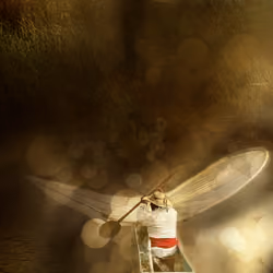 Fisherman 02
