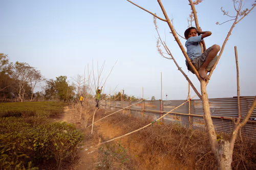 Item #14903448534982185836333129059607412223311433954982104222491105937803811225601 Media