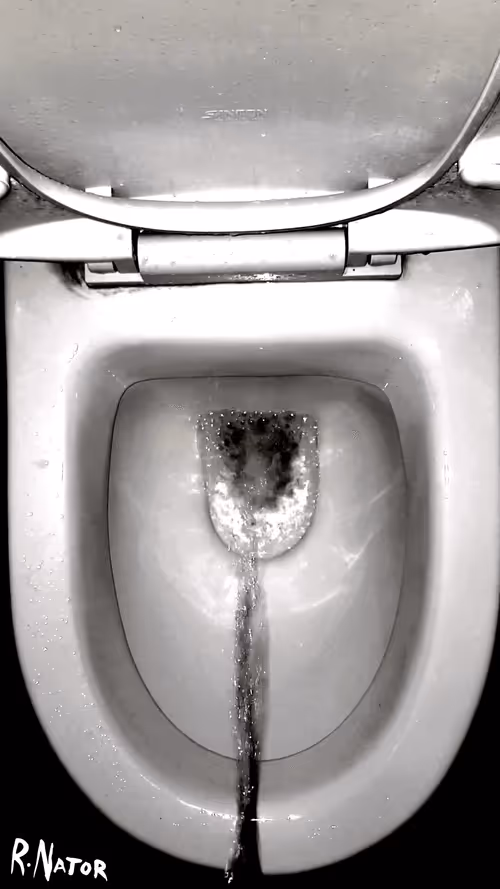 Item #12660136923828748263426703316480839463053827608546839420335324050400156319745 Media