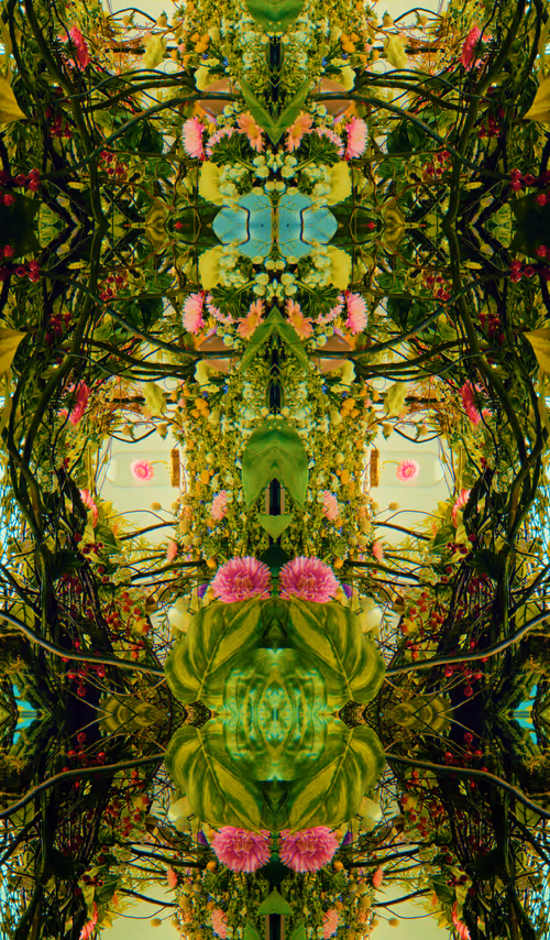 Item #54411499690937640101772425138653578544162397958311670010148906863179633524737 Media