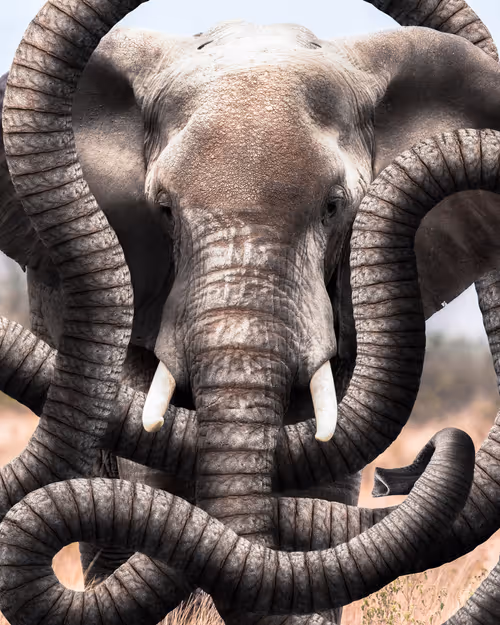 Item #44899826006193838655764715468721601160155167556143089793806025133550752235521 Media