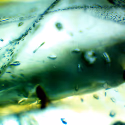 71646257518770613568983710813551014237803002136866425209291834765165889323009