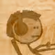 111180530642789578611497292873235206845951912808921885277830448943685085167617
