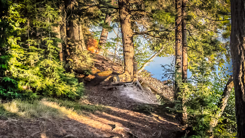 Item #78614967916850878758896281278088562819031429561597845143063368094866712035329 Media