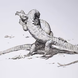 Wrestling Lizards 1