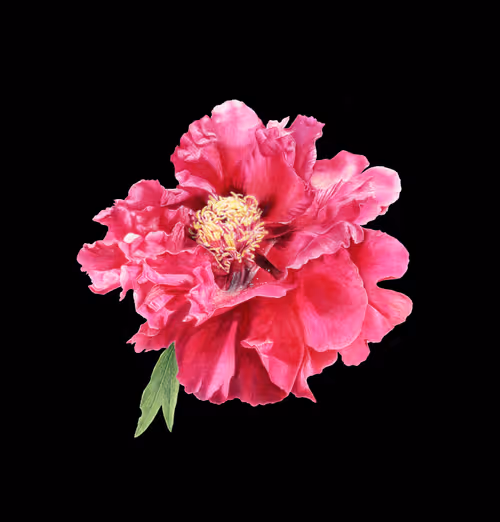 Item #113489034304621262780688231826605953110850630037048369512317058342580872282117 Media