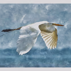 55704534837685659622621715309832868758345944585427688586690141433356041060353