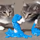 41722393861449141829498959719965956251515620333839056860818263910306122039297