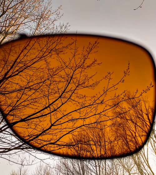 Item #24057865312828856288554598894297638818197838710436473654589626992820811202561 Media