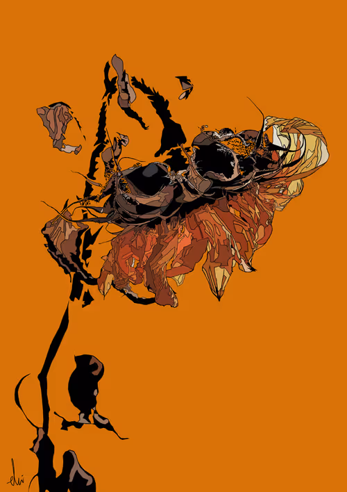 Item #81760387789765234796464777931890834971541383150043961962288378832922808942593 Media