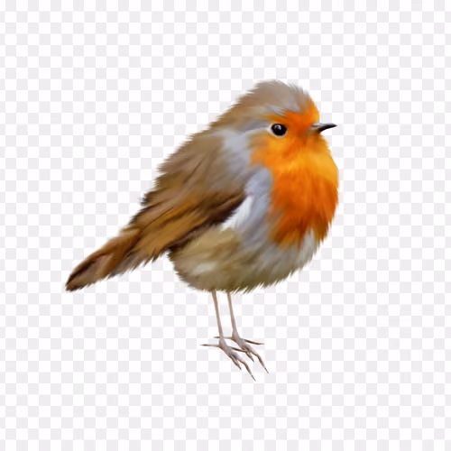 Bird #1
