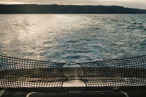 Item #95633765474931350240165697288740384276668175365753332134829565083839025381377 Media