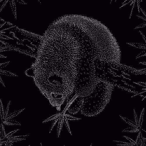 KroshkaJuli Collection