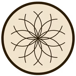 43146523161913970775654449509921564474344972767913577800200540950033514627073