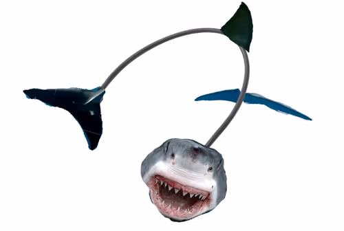 Item #35988916209355425521062941789488706961215952466143738132146208036308096385025 Media