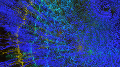 Item #4131897813448906462745634582915602247361068042784661963119482904317341466625 Media